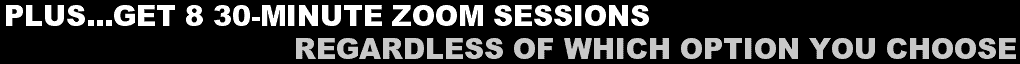 lus...Get 8 30-Minute Zoom Sessions, Regardless Of Which Option You Choose